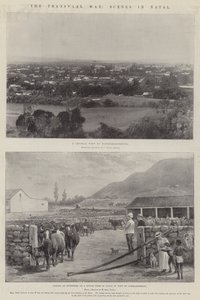 De Transvaal-oorlog, scènes in Natal